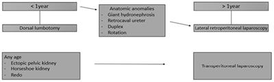 Reflective Practice About Retroperitoneal Laparoscopy in Comparison to Open Surgery for Ureteropelvic Junction Obstruction Repair in Children Less Than 1 Year of Age